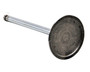 Enginetech V4366 | Single Intake Valve for GM 5.7L 346/6.0L 364