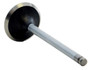 Enginetech V3532 Intake Valve for 1993-1999 GM Chevrolet 3.1L/3.4L 1.718" Head Chrome Stem - Precision Engine Intake Valve Replacement