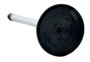Enginetech V3002 Intake Valve for 1996-1998 Ford 3.8L 1.779" Head Chrome Stem - Precision Engine Intake Valve Replacement