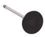 Enginetech V1660 Intake Valve for 2013-2019 Ford 1.5L/1.6L 1.1835" Head Engine Valve - Precision Engine Intake Valve Replacement
