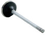 Enginetech IM4428 Intake Valve for 1999-2002 Daewoo 1.6L 1.193" Head Chrome Stem - Precision Engine Intake Valve Replacement
