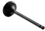 Enginetech IM4420 Intake Valve for 2001-2011 Hyundai Kia 1.6L 1.146" Head Nitrided Stem - Precision Engine Intake Valve Replacement
