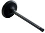 Enginetech IM4372 Intake Valve for 1998-2005 GM Toyota 1.8L 1.260" Head Chrome Stem - Precision Engine Intake Valve Replacement
