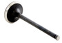 Enginetech IM2836 Intake Valve for 1993-2002 Ford Mazda 2.0L/1.8L 1.240" Head Nitrided Stem - Precision Engine Intake Valve Replacement