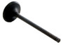 Enginetech IM2710 Intake Valve for 1991-2006 Nissan 1.6L/1.8L 1.181" Head Nitrided Stem - Precision Engine Intake Valve Replacement