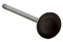 Enginetech IM2538 Intake Valve for 1984-1990 Honda 1.8L/2.0L 1.181" Head Nitrided Stem - Precision Engine Intake Valve Replacement
