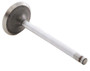 Enginetech IM2440 Intake Valve for 1986-1994 Mazda 1.6L 1.496" Head Chrome Stem - Precision Engine Intake Valve Replacement