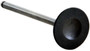 Enginetech IM1004 Intake Valve for 2003-2005 Kia 1.6L 1.150" Head Nitrided Stem - Precision Engine Intake Valve Replacement