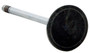 Enginetech V1920-12 12 Pack Intake Valve for 1998-2010 Chrysler 2.7L 1.331" Head Chrome Stem - Precision Engine Intake Valve Replacement
