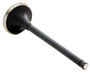 Enginetech EM4367 Exhaust Valve for 2000-2002 Infiniti Nissan 2.0L - OE Grade Replacement Exhaust Valve - Engine Rebuild Component