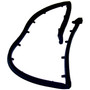 Crown Automotive 55009742 Tailgate Seal - Fits 1987-1995 Jeep YJ Wrangler