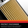 K&N SO-1004 High Flow Spin-On Oil Filter for Honda Acura