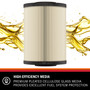 K&N PF-4100 High Performance Fuel Filter - Cellulose Media, 1 Year Warranty