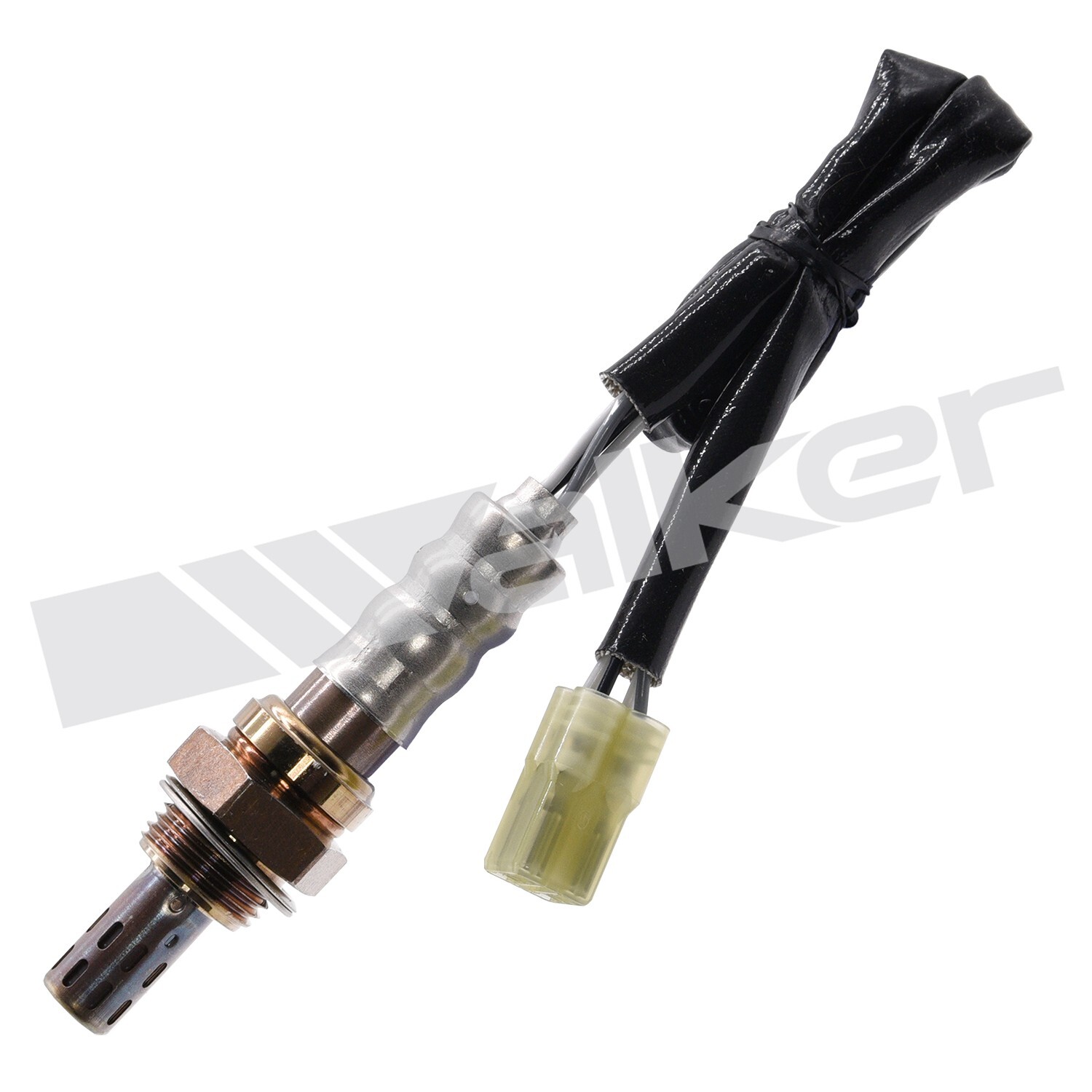 Oxygen Sensors