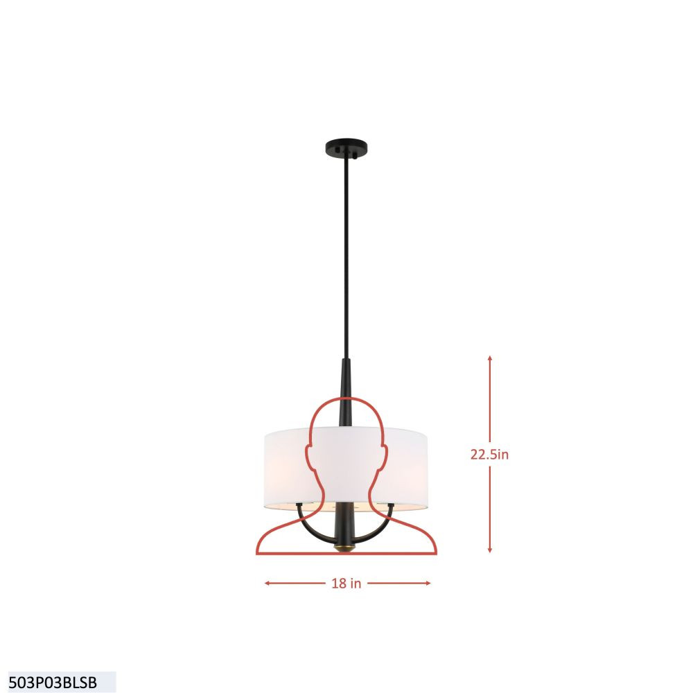 {"pim_id":"167_503p03blsb_diagram_v1_1k","sku":"167_501P03BL","media_type":"media"}