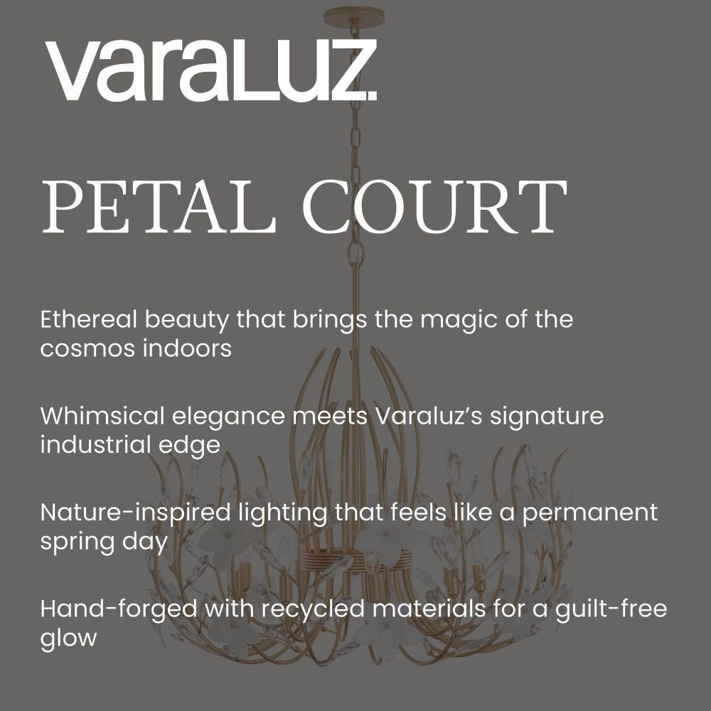 {"pim_id":"167_petal_court_infographic_v1_1k","sku":"167_558W02FG","media_type":"media"}