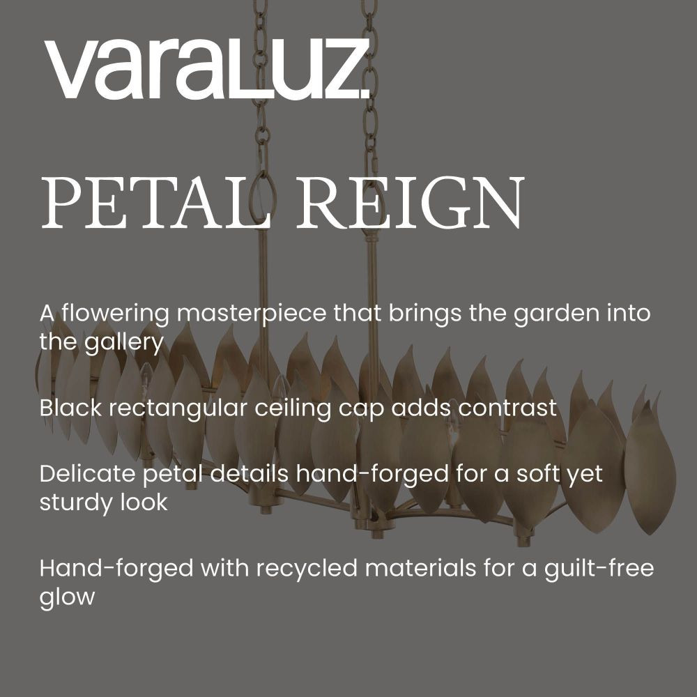 {"pim_id":"167_petal_reign_infographic_v1_1k","sku":"167_560W01BK","media_type":"media"}