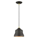Endicott 1 Light Small Pendant by Livex - 55901