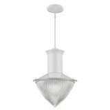 Skylar 1 Light Medium Pendant by Acclaim - IN21375
