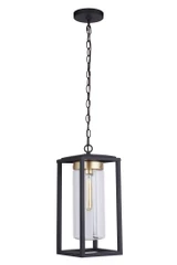 Neo 1 Light Small Outdoor Pendant by Craftmade - ZA4821
