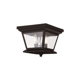 Hathaway 3 Light Candle Style Outdoor Wall Lantern by Livex - 20235