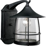 Prairie 1 Light Outdoor Wall Lantern 13.5 Inch Tall by Progress - P5764