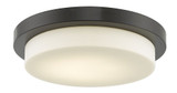 Step 29W 1 LED Light Flush Mount by Abra - 30016FM