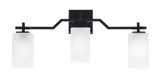 Corbin 3 Light Bath Bar 11.25 x 24.75 Inches by Toltec 2313-NAB-549 - 2313-GP-541