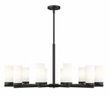 Danica 12 Light Chandelier 17.5 Inches Tall and 39 Inches Wide by Z-Lite - 3044-12