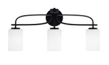 Cavella 3 Light Steel Vanity Light 25.5 Inch Length by Toltec - 3913-MB-300