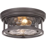 Clarion 2 Light 12 Inch Wide Flush Mount by Z-Lite - 493F2