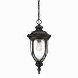 Laurens 1 Light Small Outdoor Pendant by Acclaim - 2216