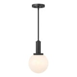 1 Light Small Pendant 13.25 Inch Tall by Meridian - M7050