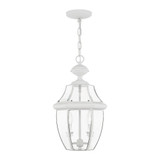 Sherwood Cliff 2 Light Small Outdoor Pendant by Bailey Street Home - 218-BEL-189720