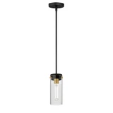 Pinn 1 Light Mini Pendant 10 Inches Tall and 5 Inches Wide by Maxim - 12406