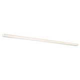 Nightstick 64W 1 LED Light Vanity Light by dweLED - WS-35873