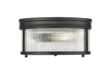 Carnaby 2 Light 13 Inch Wide Flush Mount by Z-Lite - 7504FR13