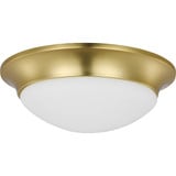 2 Light 14 Inch Wide Flush Mount by Progress - P350147
