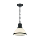 Pinesbridge 1 Light Pendant 10.5 Inch and 10.5 Inch Wide by Hudson Valley - 9309