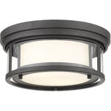 Willow 2 Light 12 Inch Wide Flush Mount by Z-Lite - 426F12