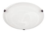 2 Light 12 Inch Wide Flush Mount by Capital - 2822FF