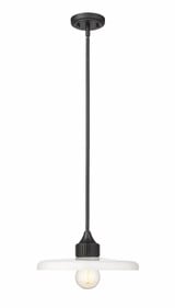 Paloma 1 Light Medium Pendant by Z-Lite - 820P14