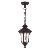 Oxford 1 Light Small Outdoor Pendant by Livex - 7849
