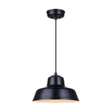 Levi 1 Light Medium Pendant by Canarm Inc - IPL1095A01