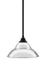 Any 1 Light Stem Hung Medium Pendant 13 Inch Wide by Toltec - 26-42