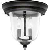 Ashmore 2 Light 10.5 Inch Wide Outdoor Flush Mount by Progress - P5562