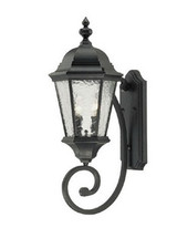 Telfair 2 Light Outdoor Wall Lantern by Acclaim - 5511MM