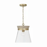 Finn 1 Light Medium Pendant by Capital - 347311