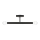 Copenhagen 2 Light 17 Inch Length Modern Semi Flush Mount by Livex - 51139