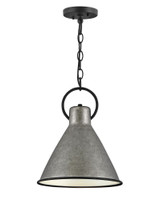 Winnie 1 Light Medium Pendant by Hinkley - 3557